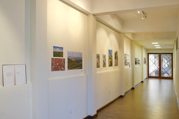 Villa Do Poeta Espirito Santo do Pinhal Dış mekan fotoğraf